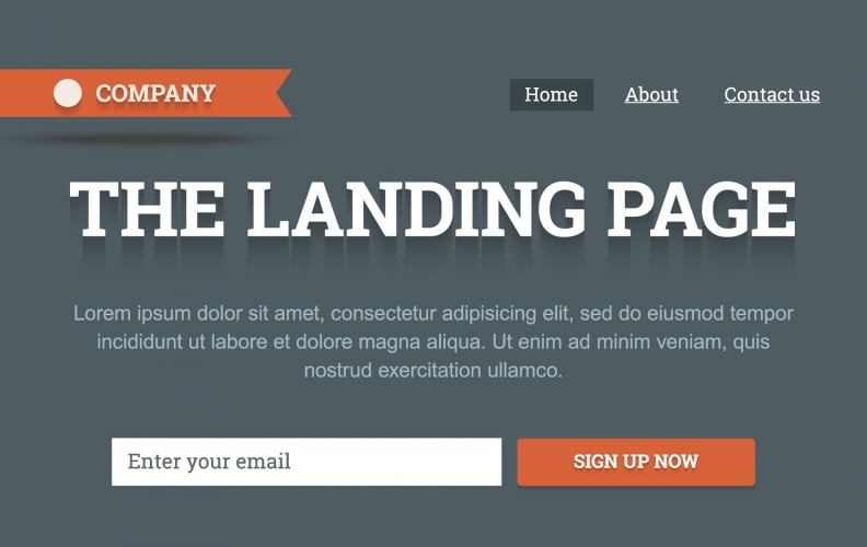 The Landing Page with signup form